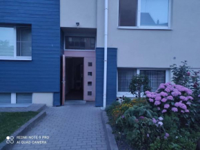 Taikos Hill Apartment for 2 persons in Nida